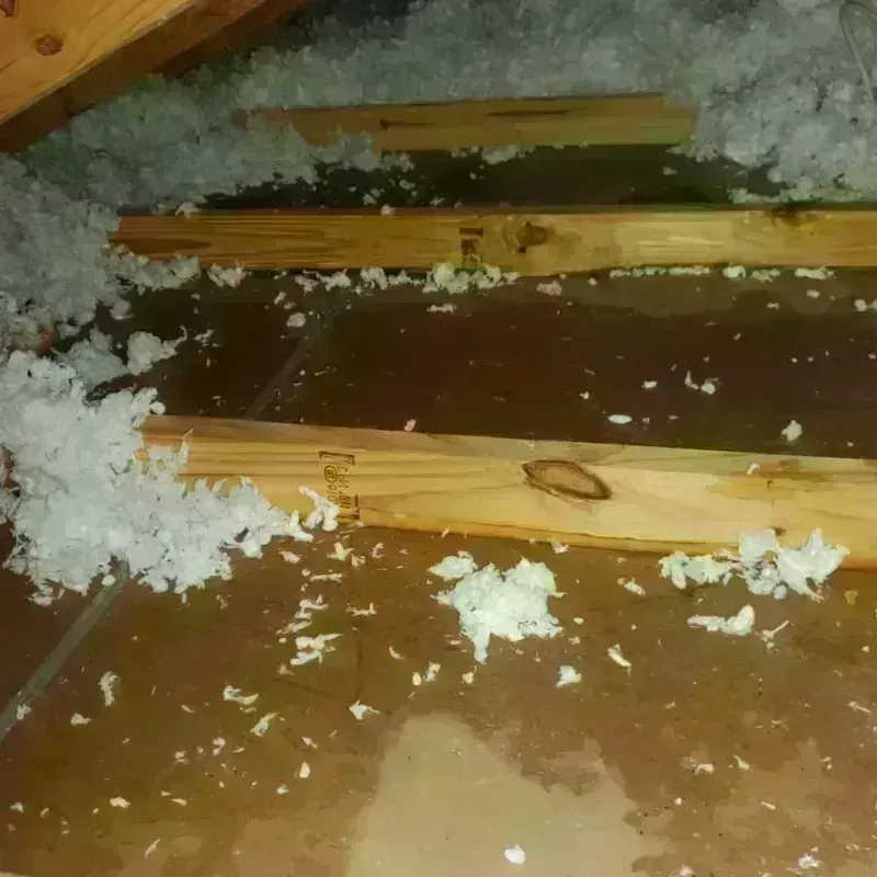 Attic Water Damage in Montezuma, IA